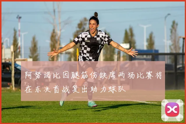 阿努诺比因腿筋伤缺席两场比赛将在东决首战复出助力球队